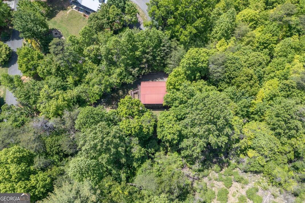166 Lake Ridge Drive Blue Ridge - Photo 36