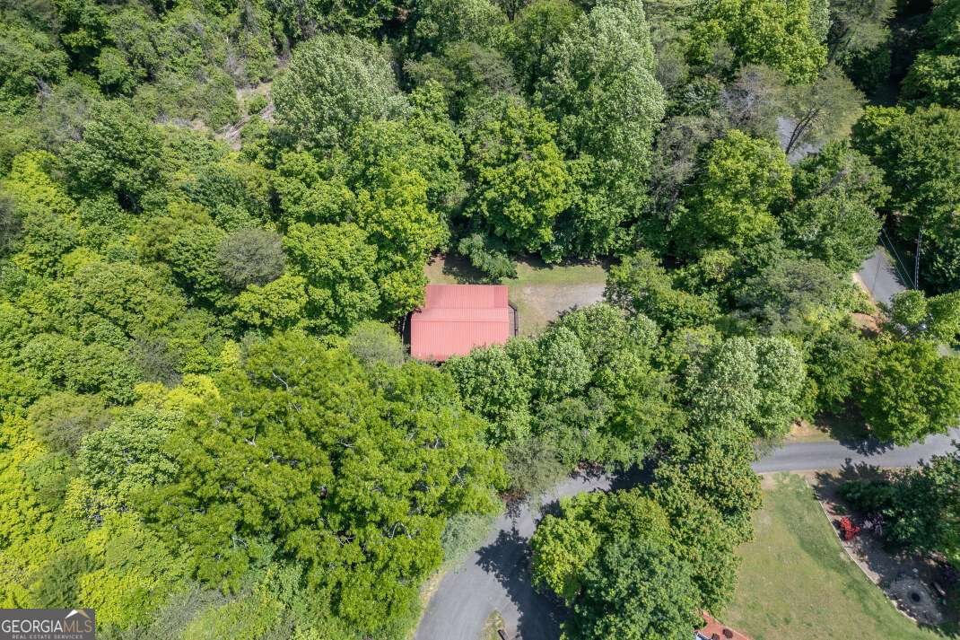 166 Lake Ridge Drive Blue Ridge - Photo 37