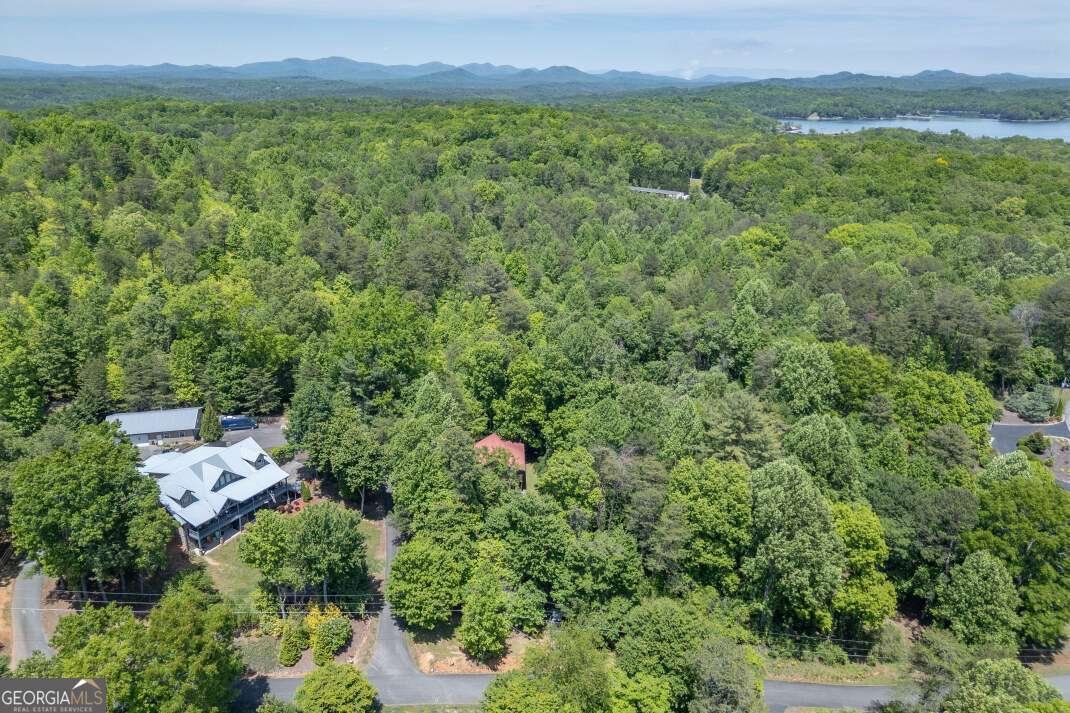 166 Lake Ridge Drive Blue Ridge - Photo 38