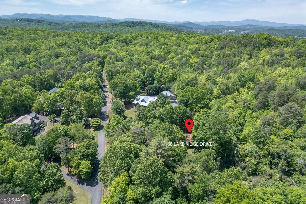 166 Lake Ridge Drive Blue Ridge - Photo 39