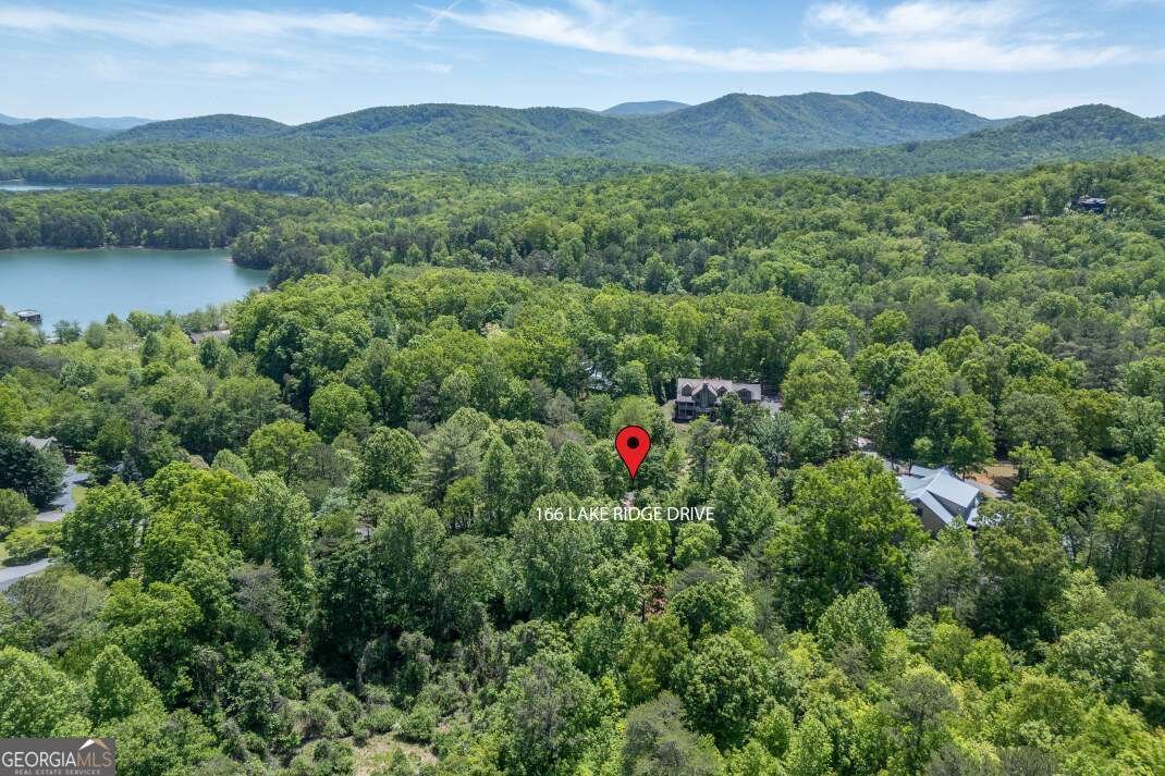 166 Lake Ridge Drive Blue Ridge - Photo 40