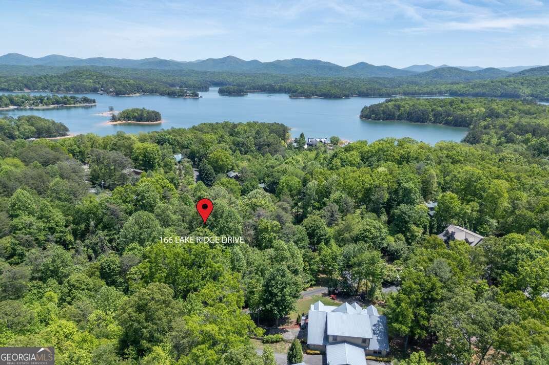 166 Lake Ridge Drive Blue Ridge - Photo 41