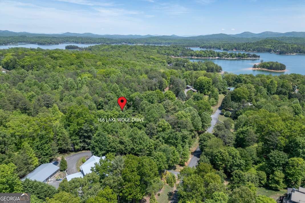 166 Lake Ridge Drive Blue Ridge - Photo 42
