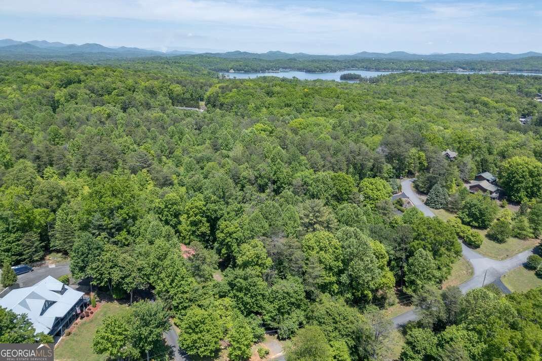 166 Lake Ridge Drive Blue Ridge - Photo 43