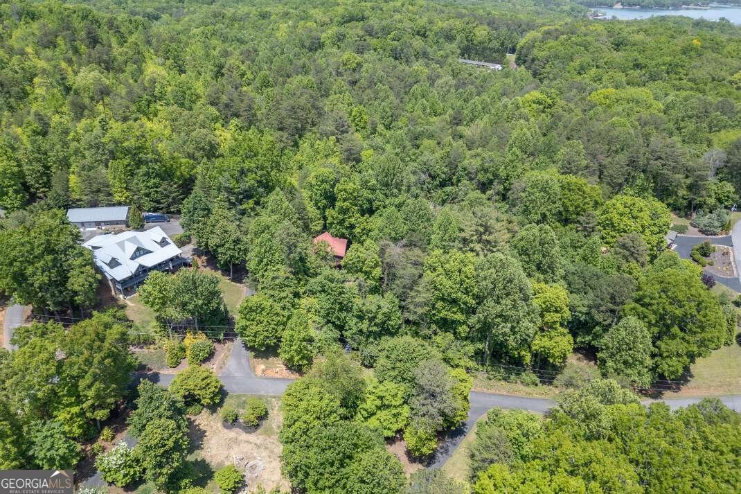 166 Lake Ridge Drive Blue Ridge - Photo 44