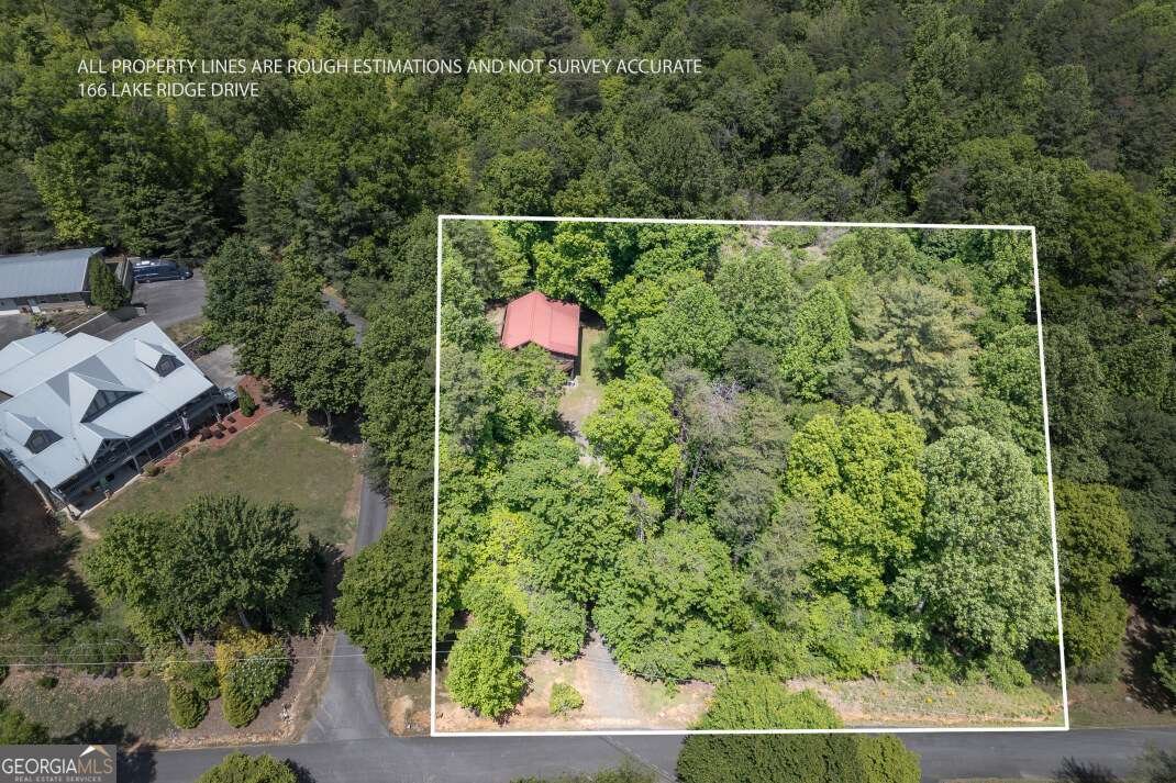 166 Lake Ridge Drive Blue Ridge - Photo 45