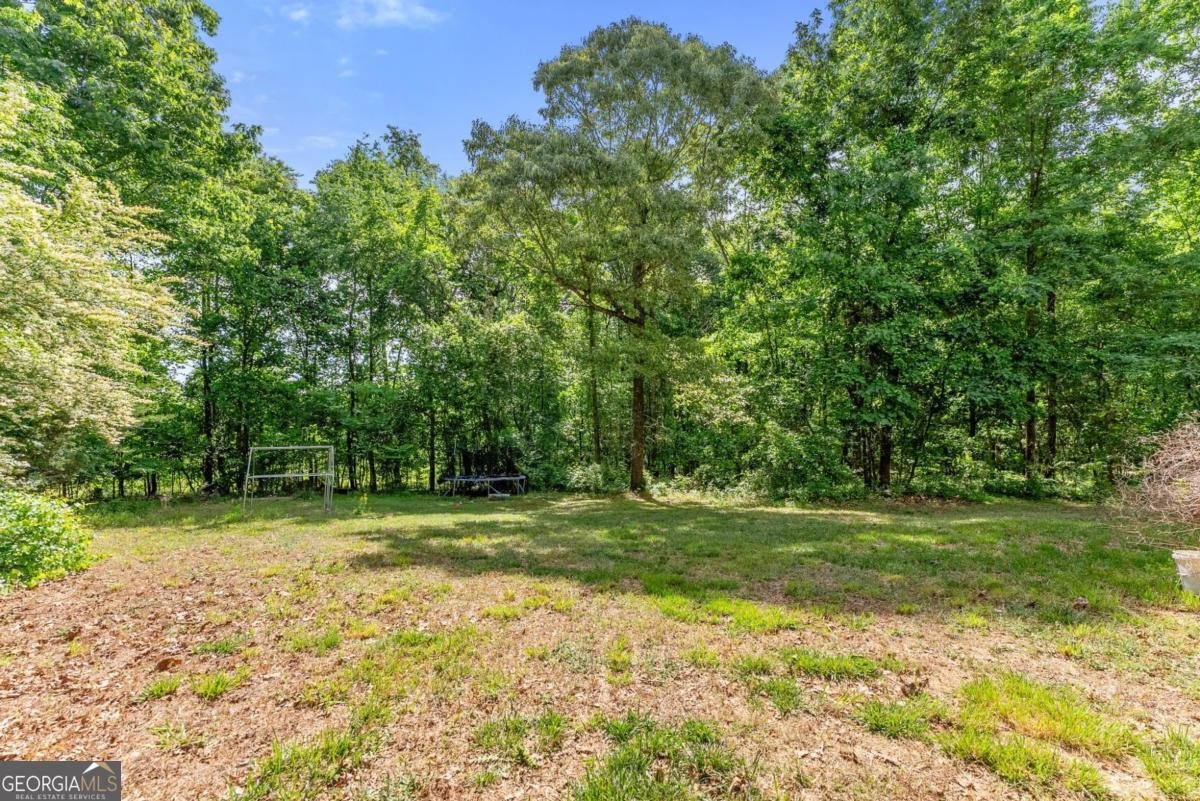413 Rolling Meadows Drive Cleveland - Photo 46