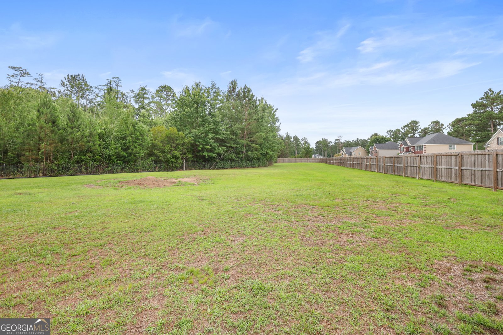 101 Brandy Wine Court Ludowici - Photo 20