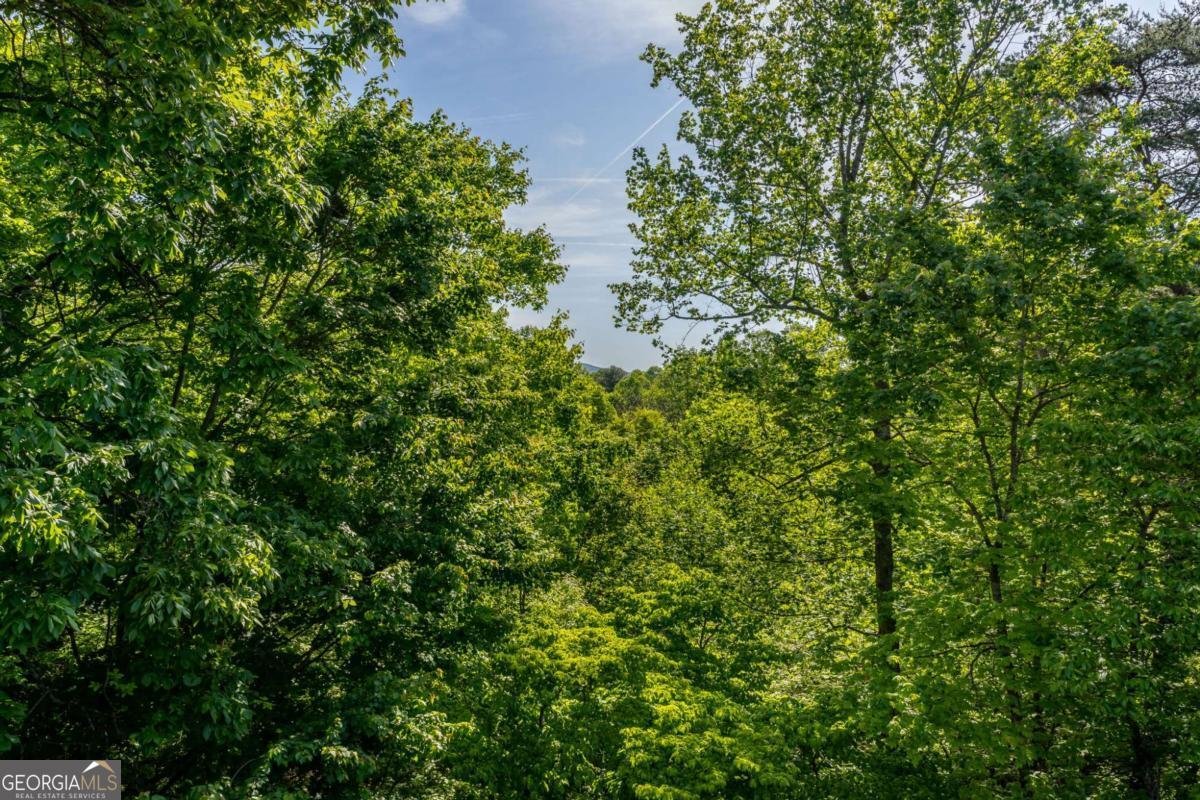 547 Echo Road Morganton - Photo 38