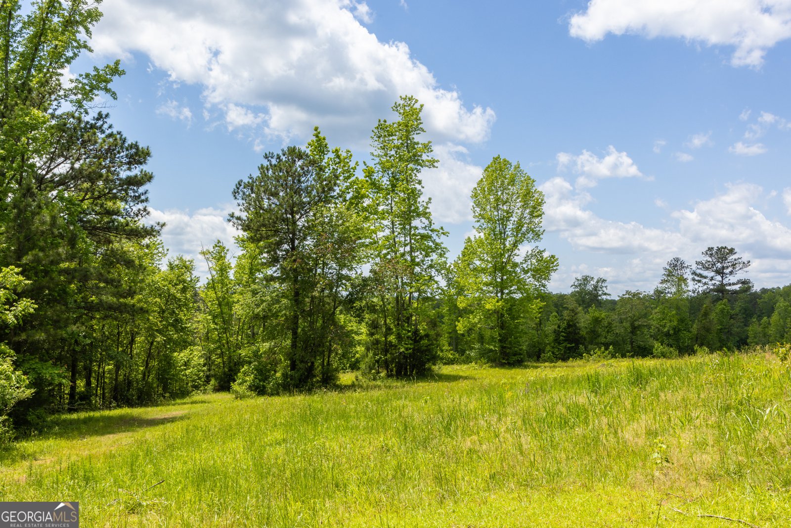 655 White Road Thomaston - Photo 12