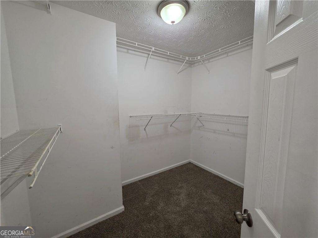 3375 River Mill Lane Ellenwood - Photo 19