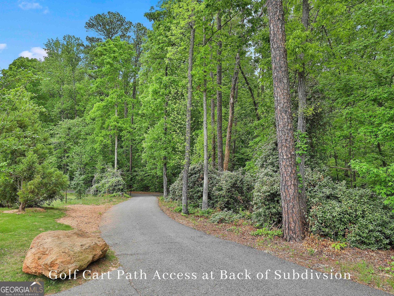 1150 Blair Lane Peachtree City - Photo 70