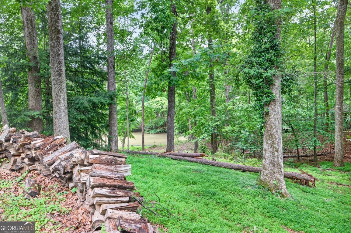 465 Emerald Parkway Sugar Hill - Photo 64