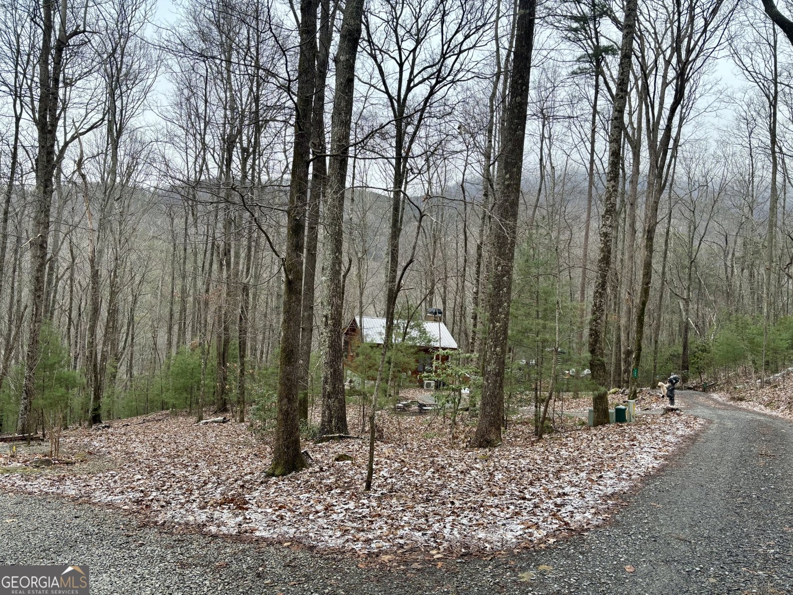163 Little Rock Creek Trail Cherry Log - Photo 33