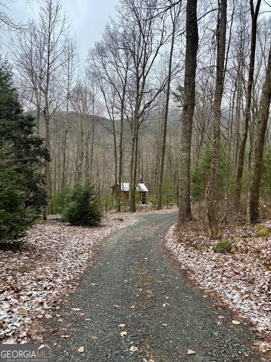 163 Little Rock Creek Trail Cherry Log - Photo 34