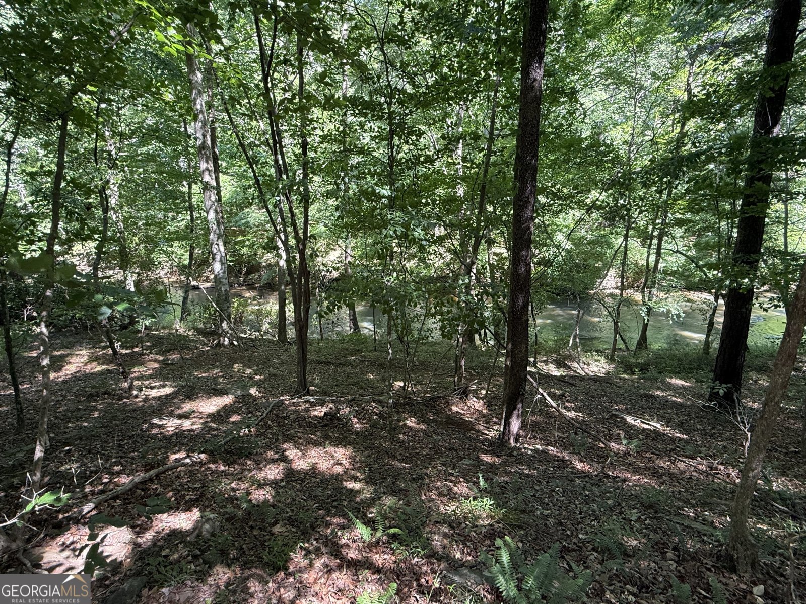 1307 Rivermist Drive Lilburn - Photo 41