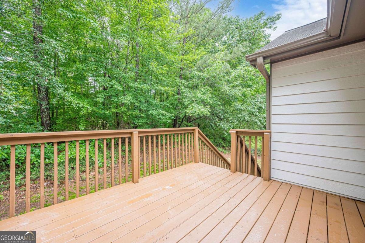 9713 Whitetail Road Douglasville - Photo 41