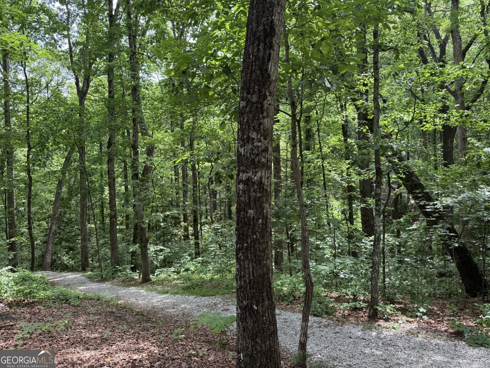 2305 Mountain West Trail Tucker - Photo 61