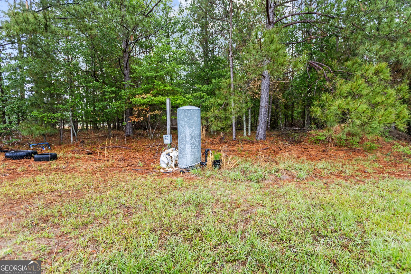 2879 Harden Chapel Lyons - Photo 23