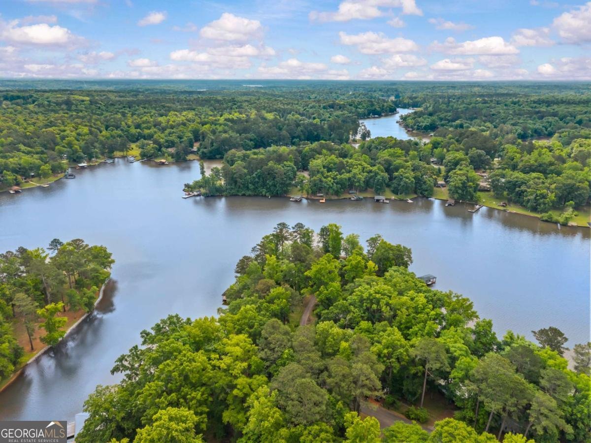194 Phillips Road Eatonton - Photo 51