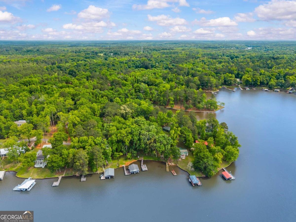 194 Phillips Road Eatonton - Photo 53