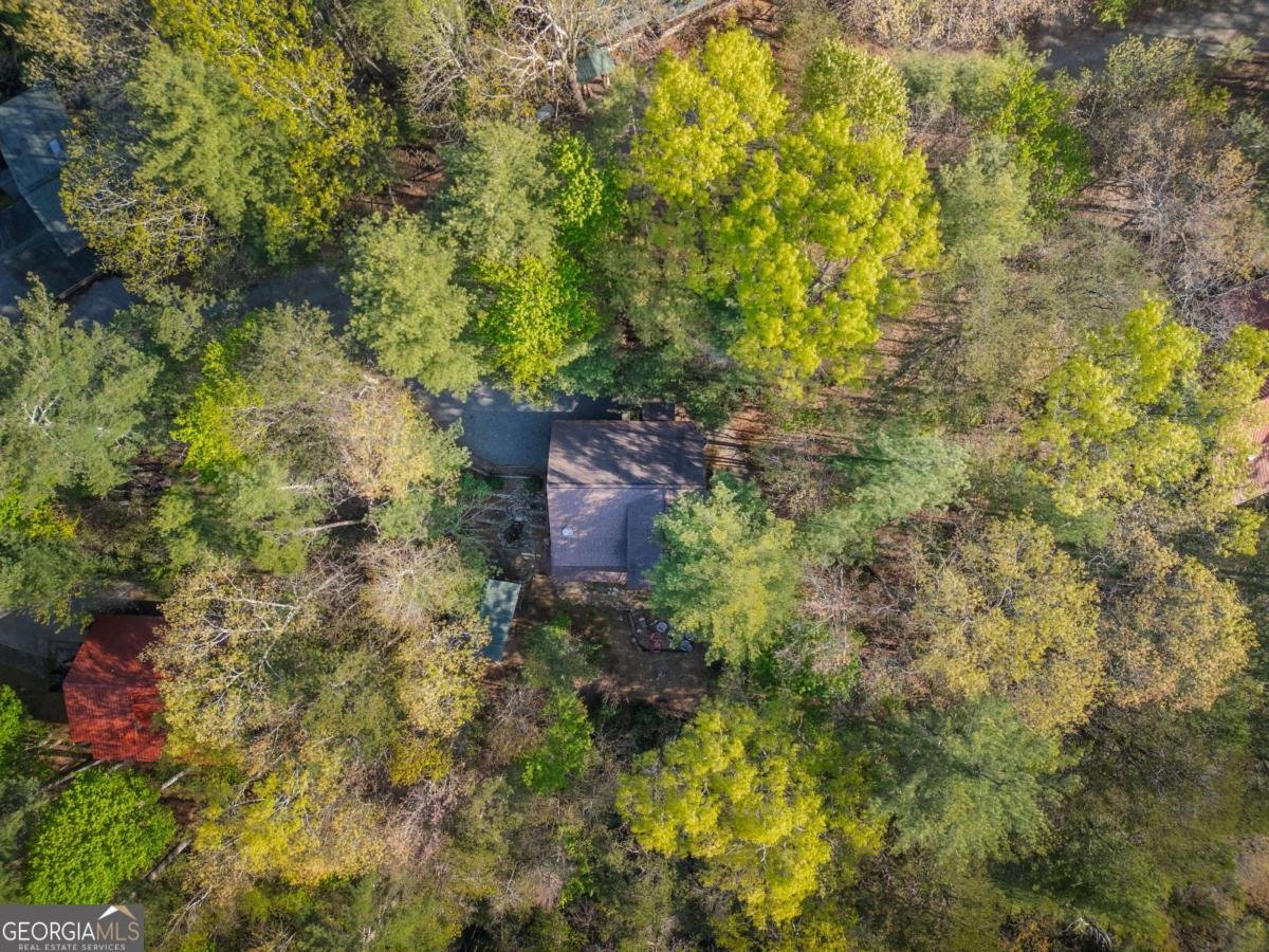 258 Dupont Drive Blue Ridge - Photo 38