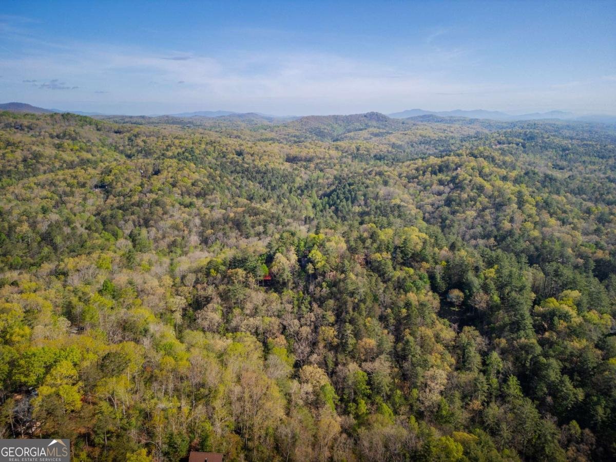 258 Dupont Drive Blue Ridge - Photo 39