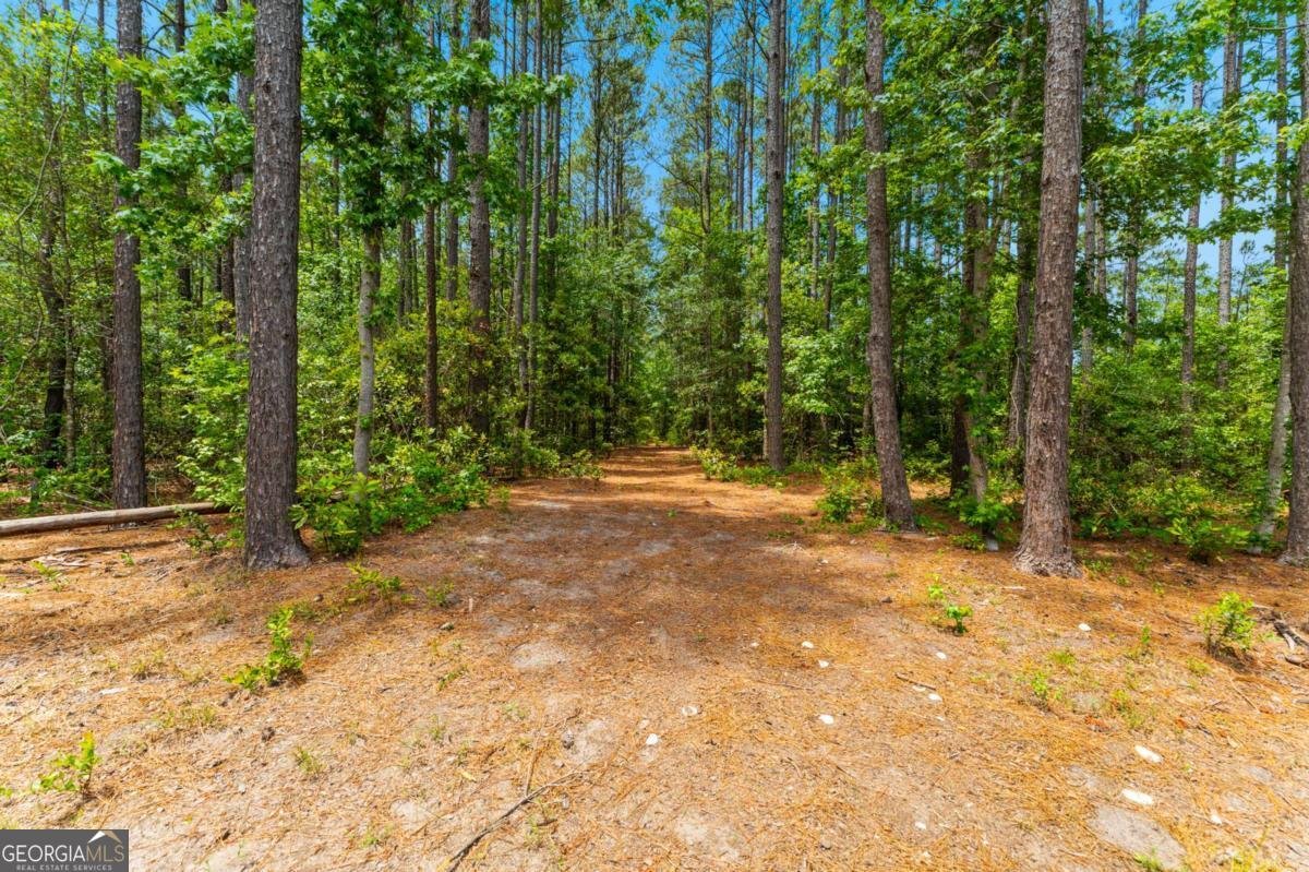 3583 Blue Jay Road Guyton - Photo 73