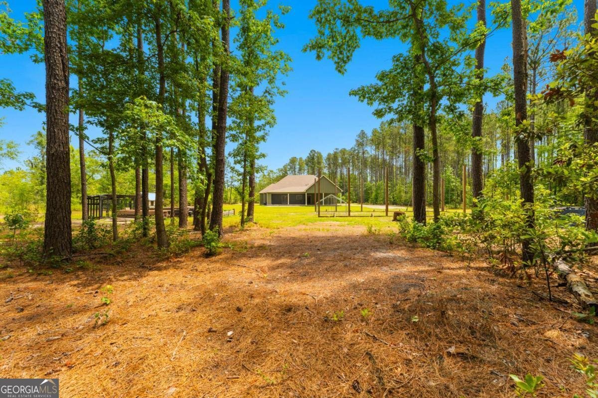 3583 Blue Jay Road Guyton - Photo 74