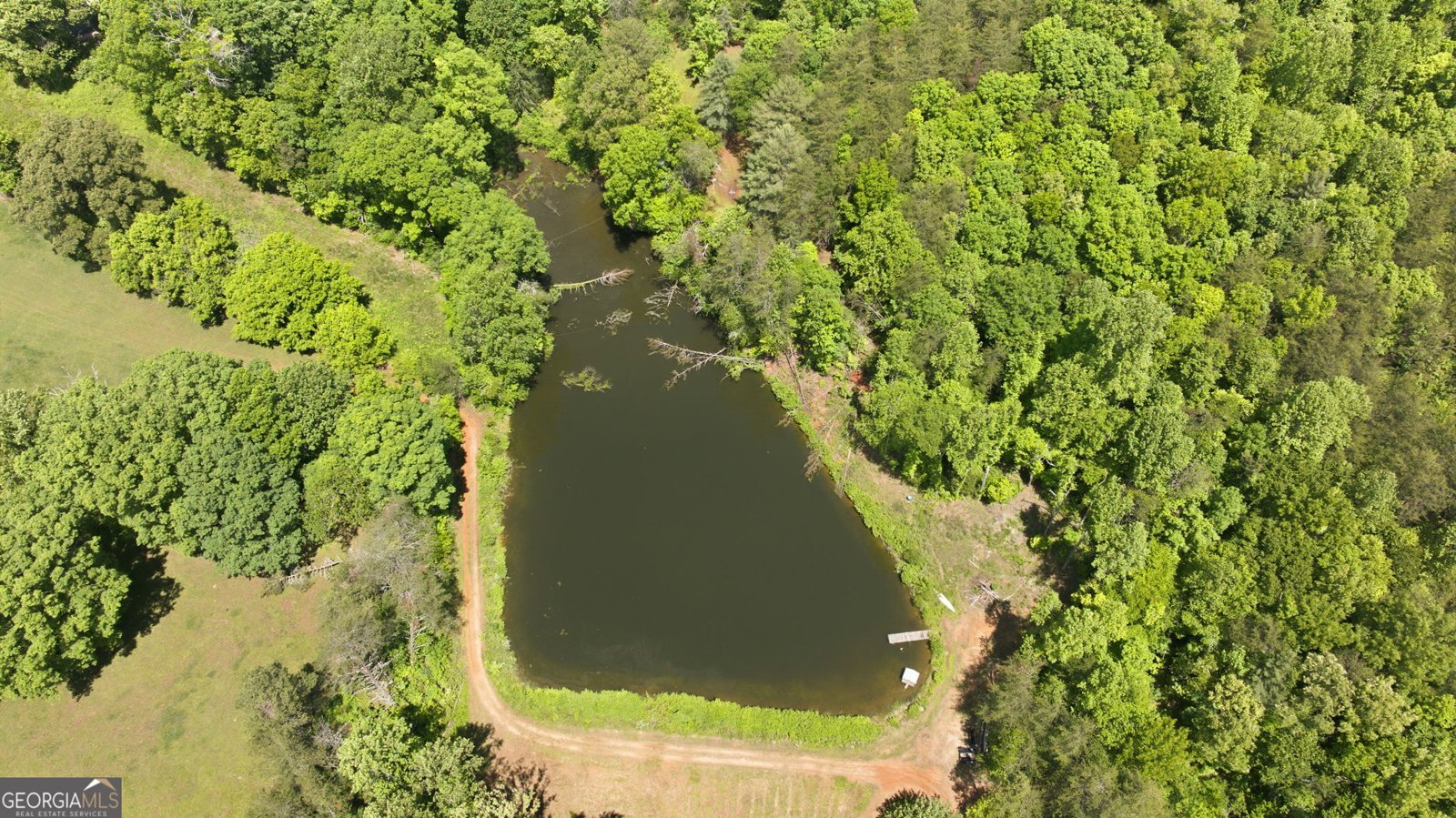 5134 Highway 17 Clarkesville - Photo 70