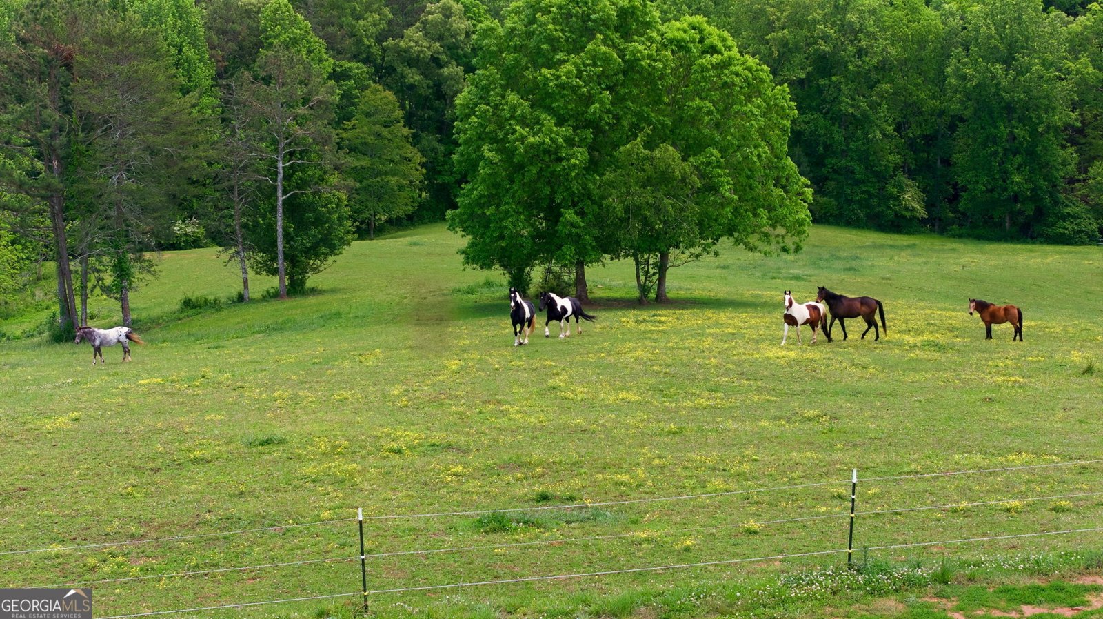 5134 Highway 17 Clarkesville - Photo 90