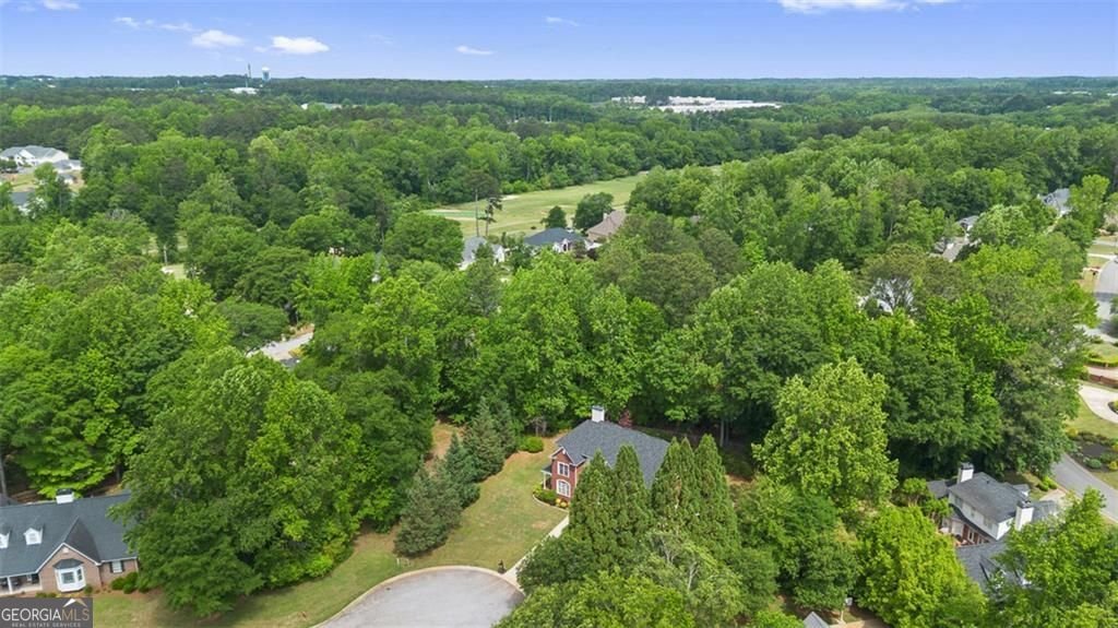 160 Torrey Pines Court Newnan - Photo 69