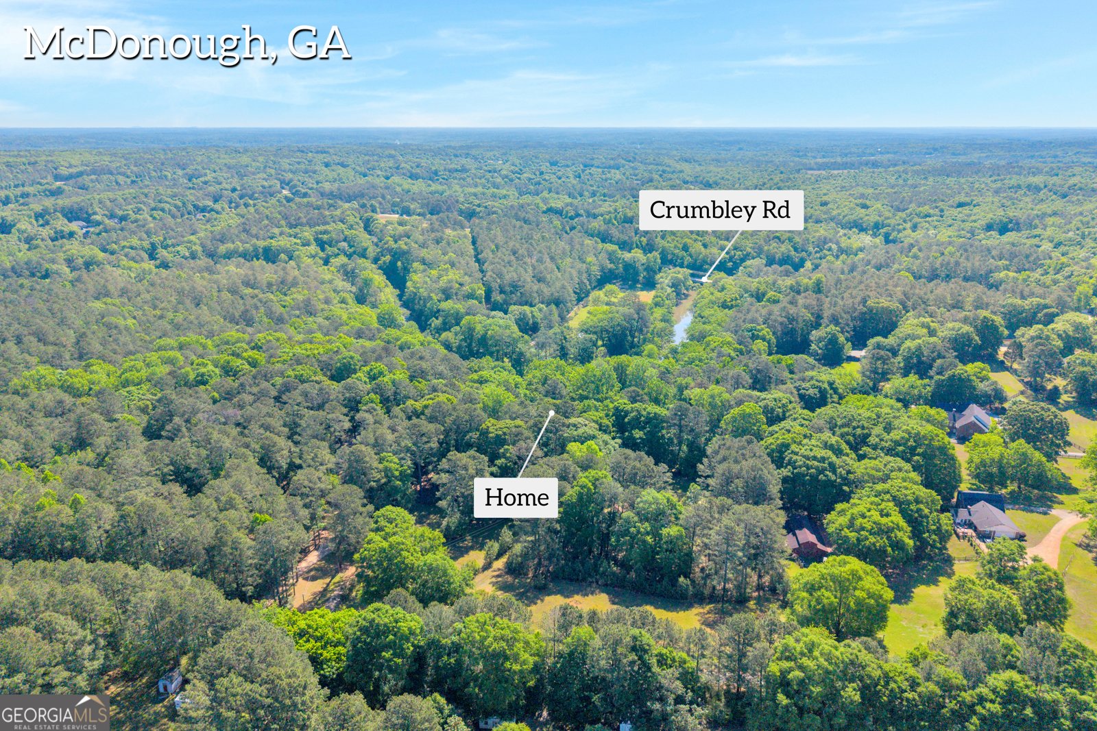 963 Crumbley Road McDonough - Photo 59