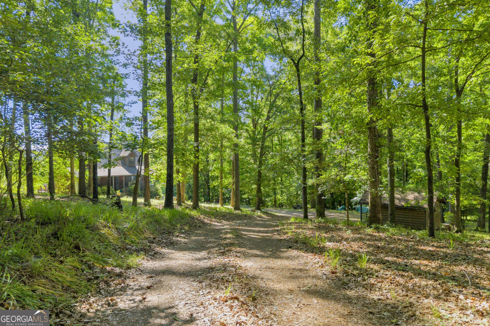 963 Crumbley Road McDonough - Photo 64