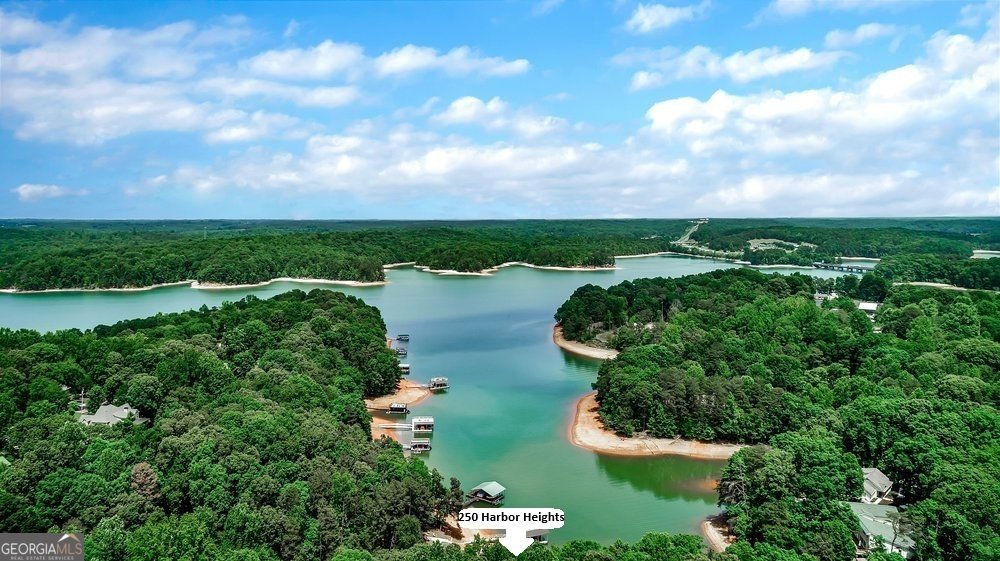 250 Harbor Heights Circle Lavonia - Photo 40