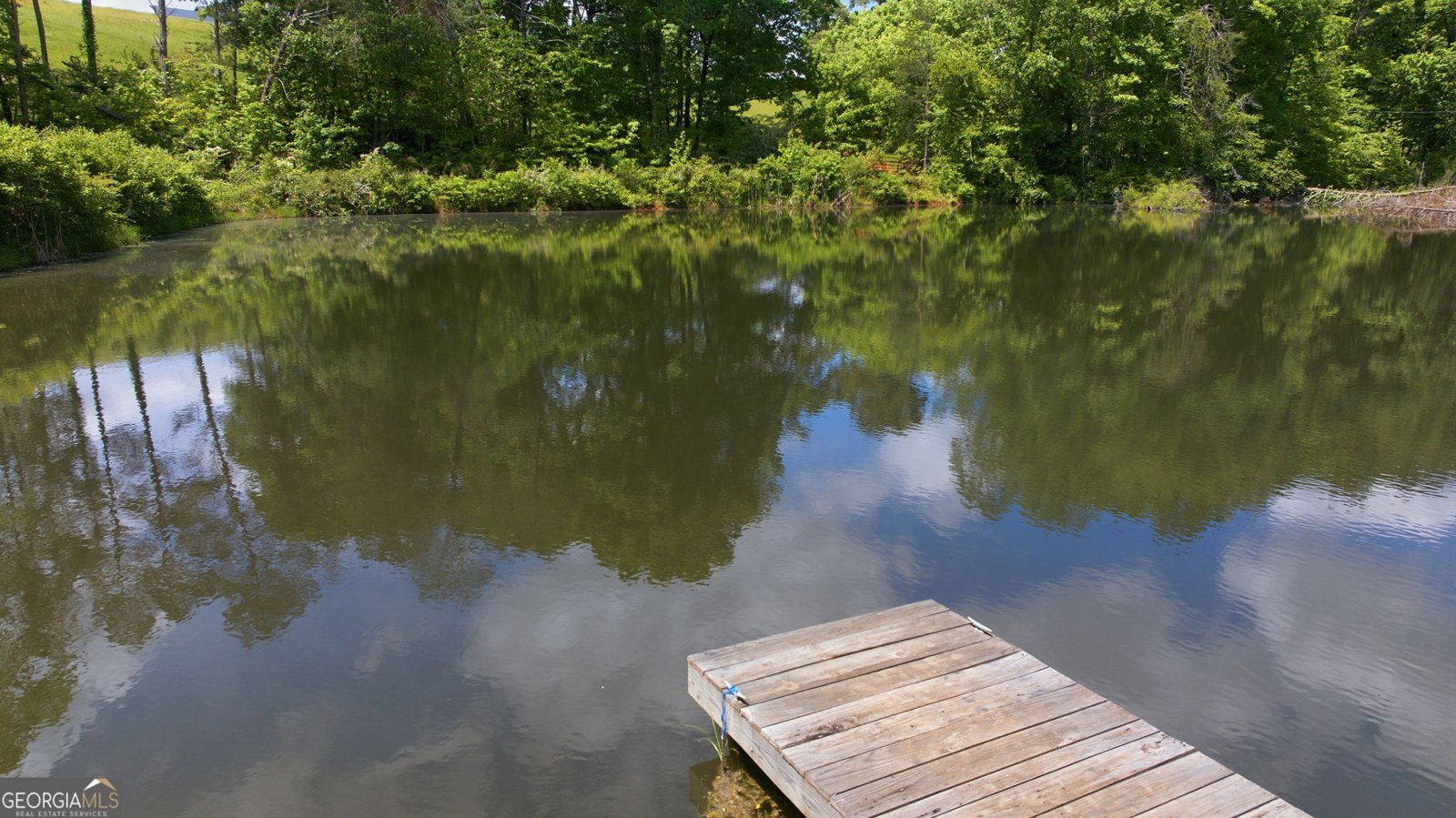 850 Preacher Campbell Road Clarkesville - Photo 82