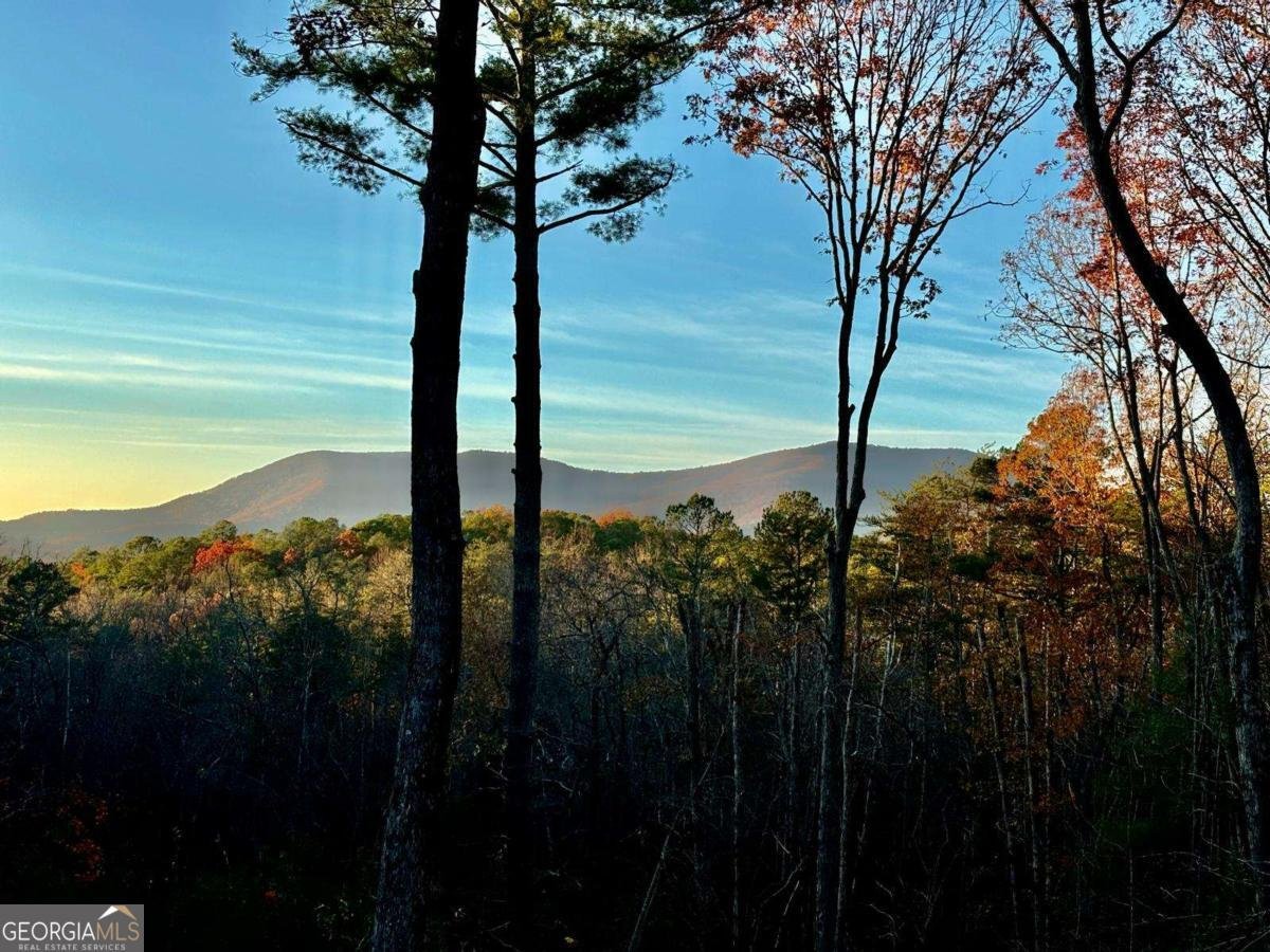 361 Rising Star Road Ellijay - Photo 39