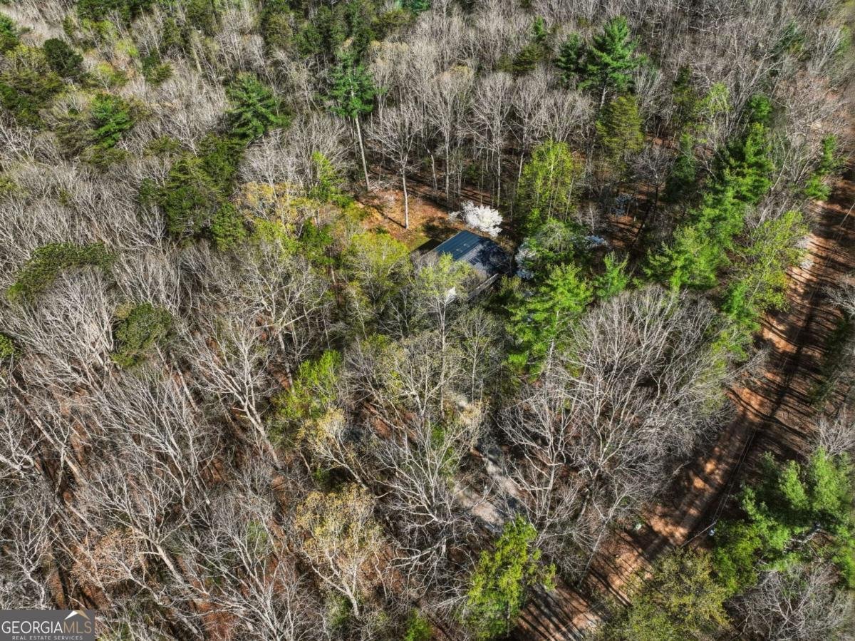 361 Rising Star Road Ellijay - Photo 43