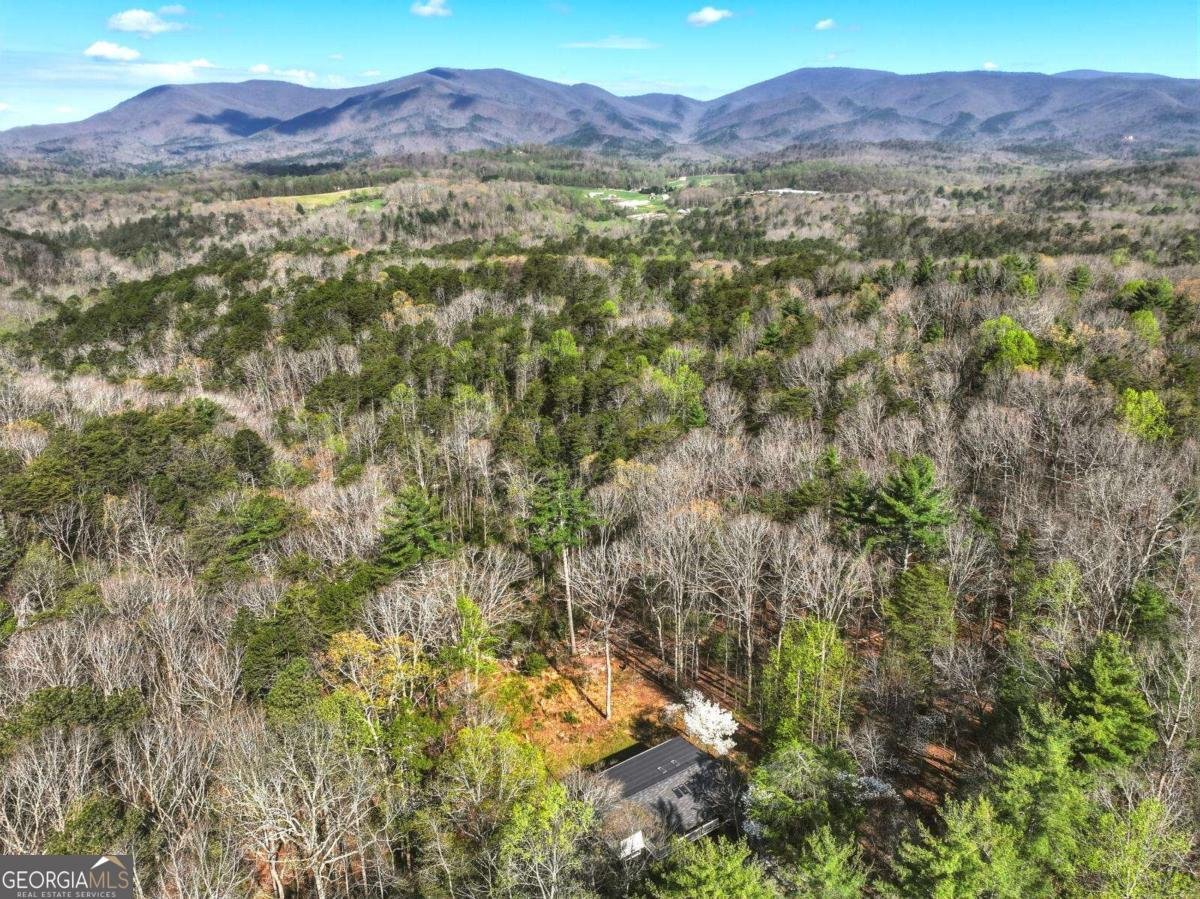 361 Rising Star Road Ellijay - Photo 44