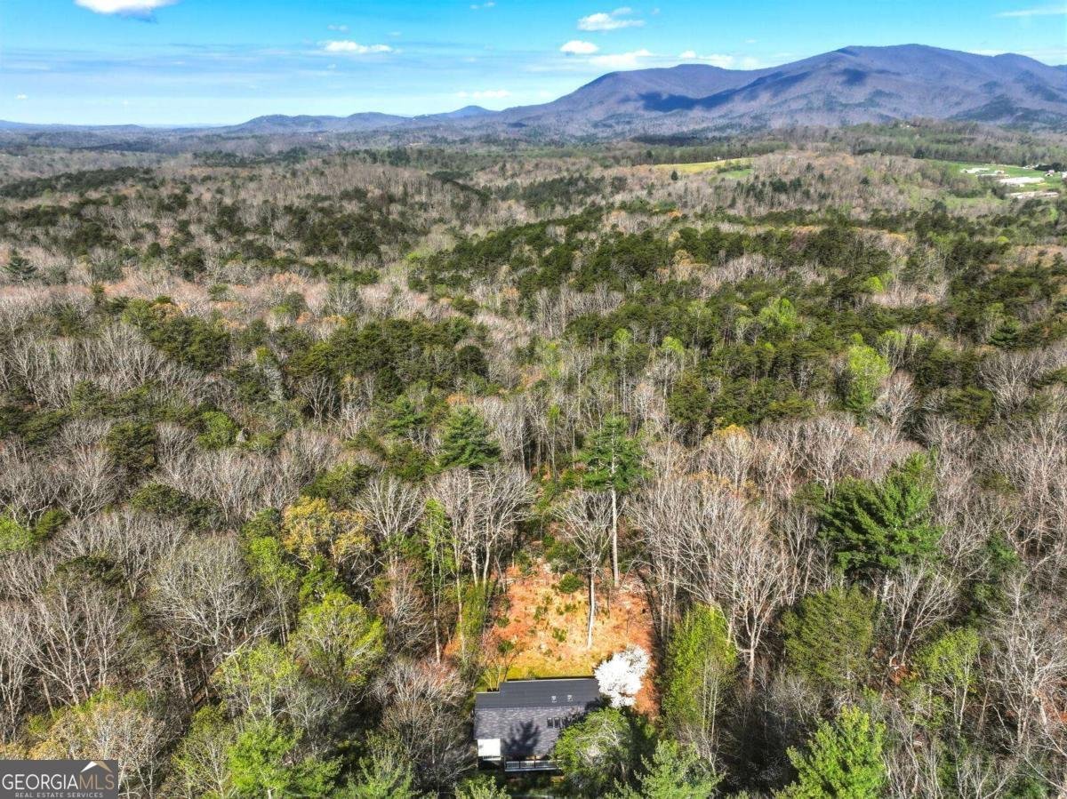 361 Rising Star Road Ellijay - Photo 45