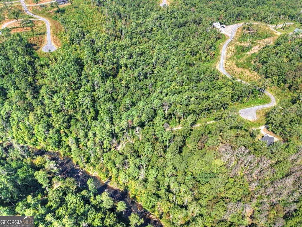 566 Canoe Point Ellijay - Photo 94
