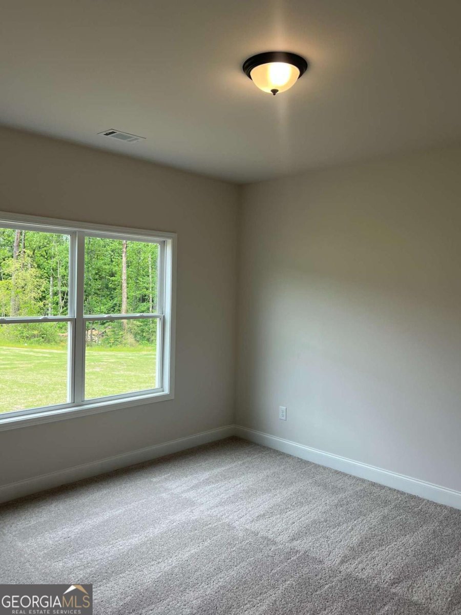 897 Bessie Court Loganville - Photo 31