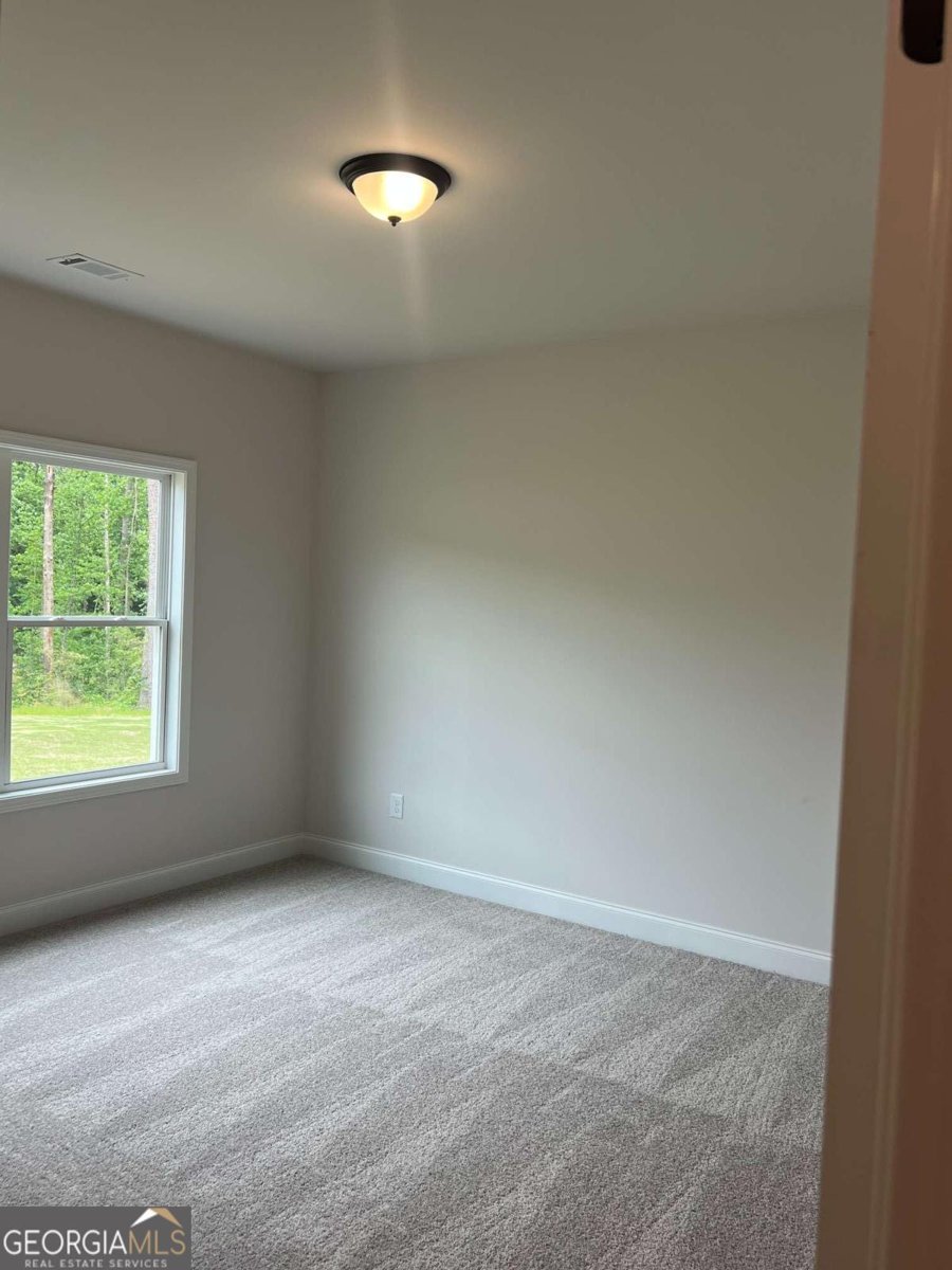 897 Bessie Court Loganville - Photo 34