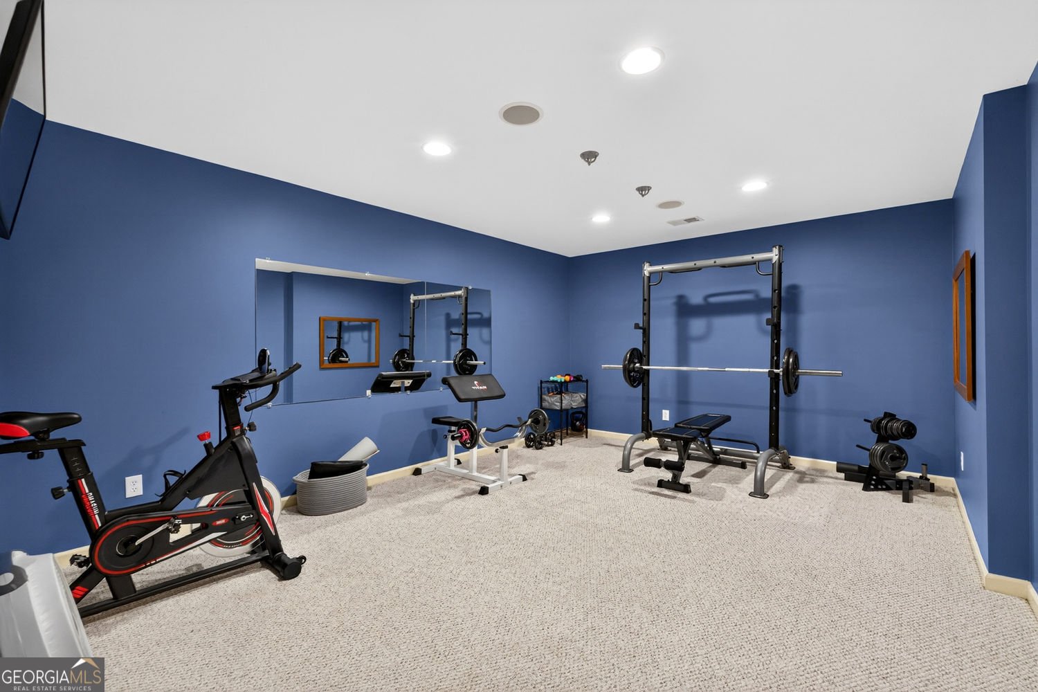 3913 Springtree Lane Hoschton - Photo 49