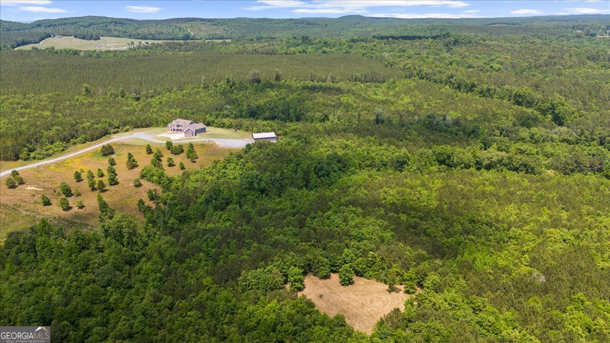 380 Ward Mountain Road Kingston - Photo 99