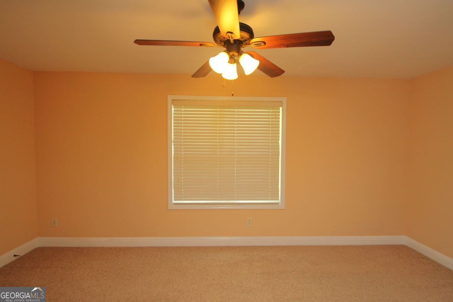 194 Palmer Court Jefferson - Photo 130