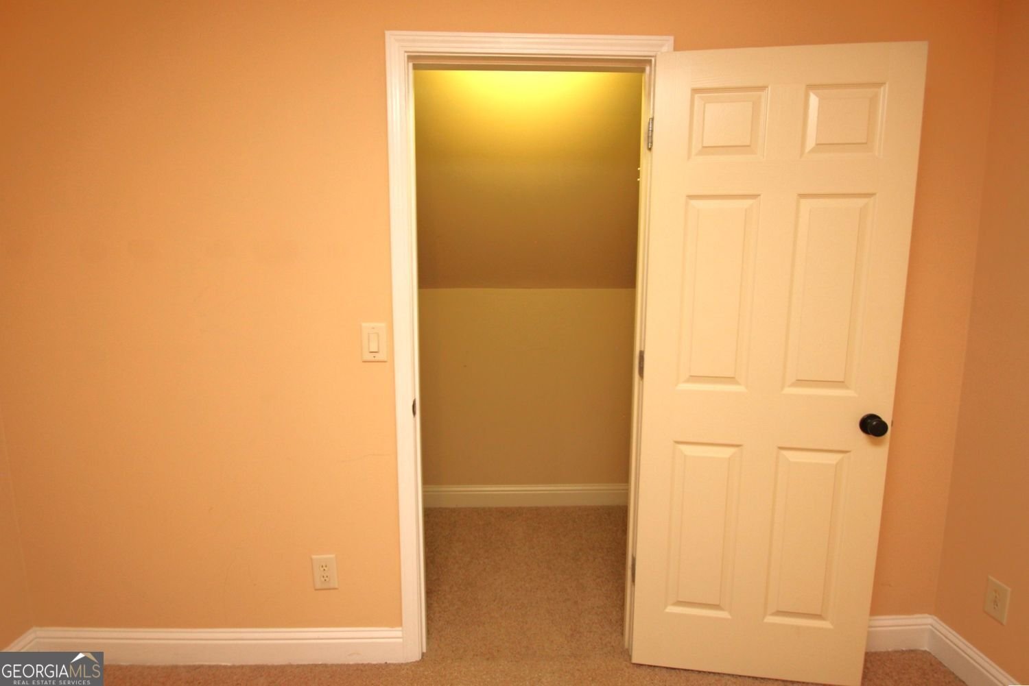 194 Palmer Court Jefferson - Photo 134