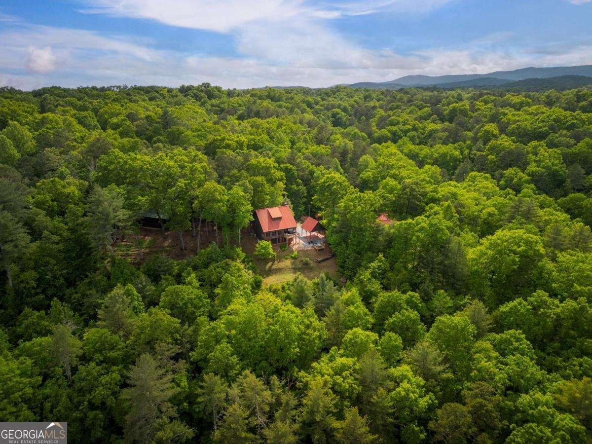 170 Wildwood Court Ellijay - Photo 40