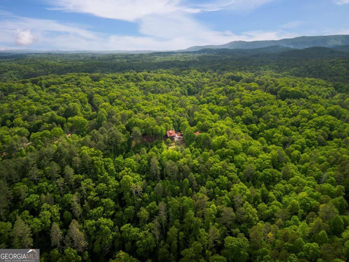 170 Wildwood Court Ellijay - Photo 41