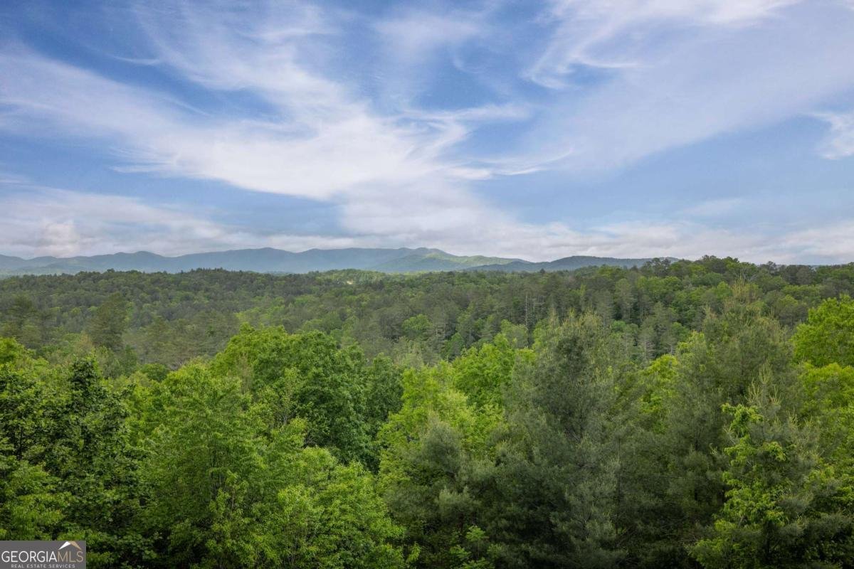 170 Wildwood Court Ellijay - Photo 46